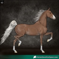 Horse Color:Silver Black 