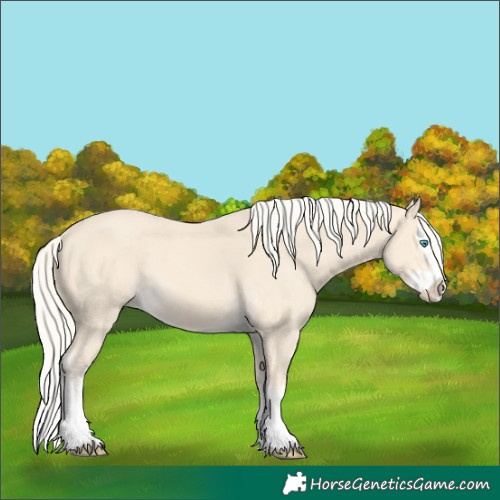 Horse Color:Cremello Splash  and Cremello Splash 