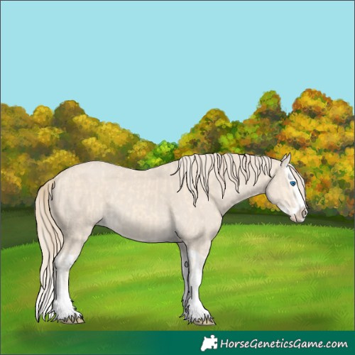 Horse Color:Cremello Splash  and Smoky Creme Splash 