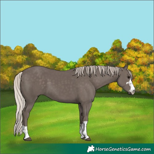 Horse Color:Silver Black 