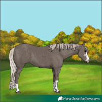 Horse Color:Silver Black 
