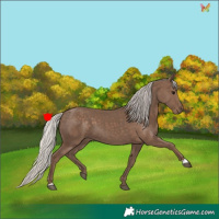 Horse Color:Silver Black 