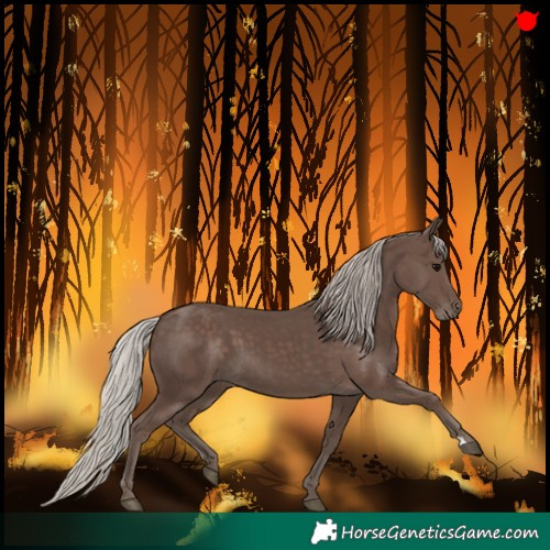 Horse Color:Silver Black 