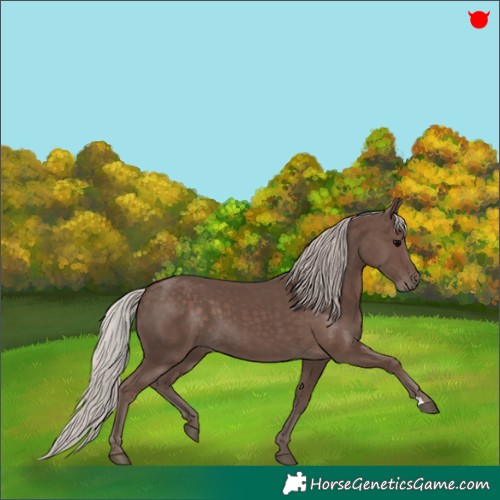Horse Color:Silver Black 