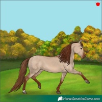 Horse Color:Red Dun