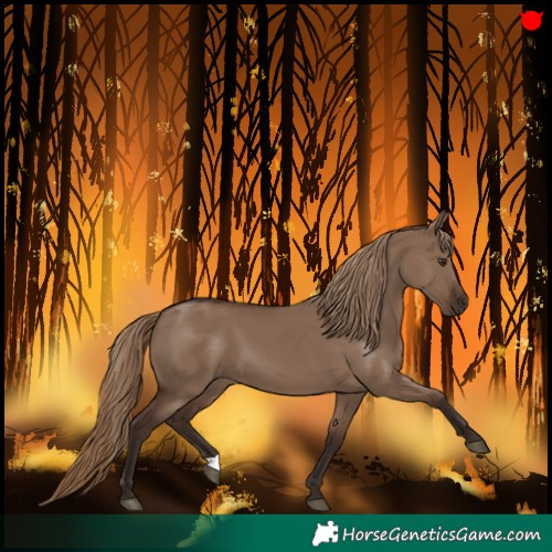 Horse Color:Liver Red Dun 