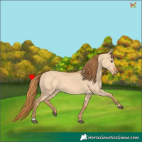 Horse Color:Red Dun 