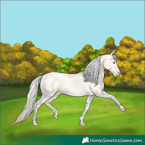 Horse Color:Cremello Dun Tobiano