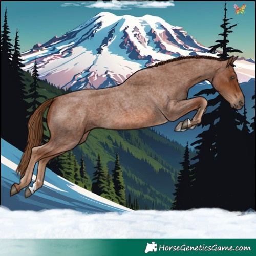 Horse Color:Red Roan 