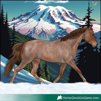Horse Color:Red Roan
