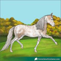 Horse Color:Chocolate Palomino Pearl Tobiano Frame and Chocolate Palomino Pearl Splash Tobiano Frame