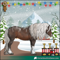 Horse Color:Powder White Silver Black Tobiano 