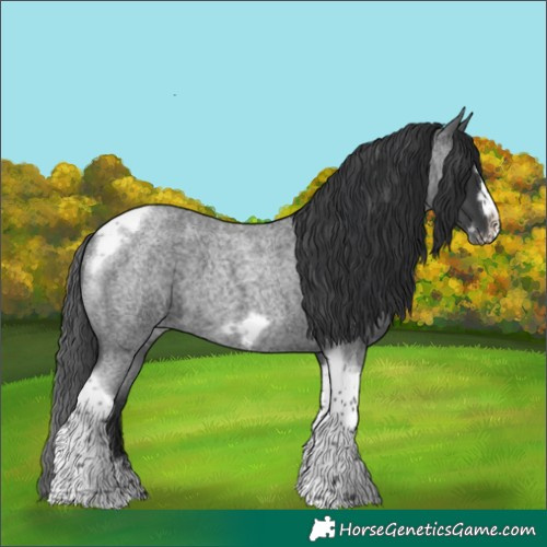 Horse Color:Blue Roan Tobiano Frame 
