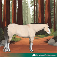 Horse Color:Bay Roan Dun Splash
