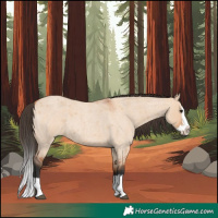 Horse Color:Bay Roan Dun Splash 