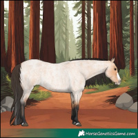 Horse Color:Bay Roan Dun Splash