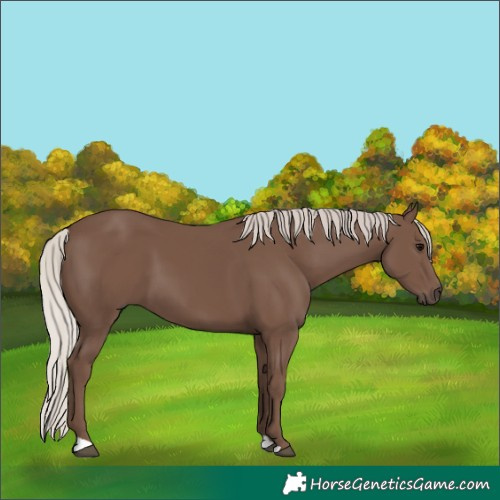 Horse Color:Silver Black 