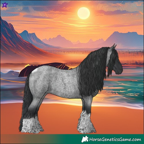 Horse Color:Blue Roan Tobiano 