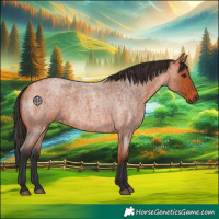 Horse Color:Bay Roan 