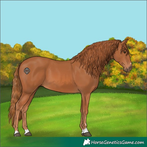 Horse Color:Chestnut 