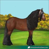 Horse Color:Gray Bay 