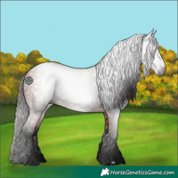 Horse Color:Gray Bay 