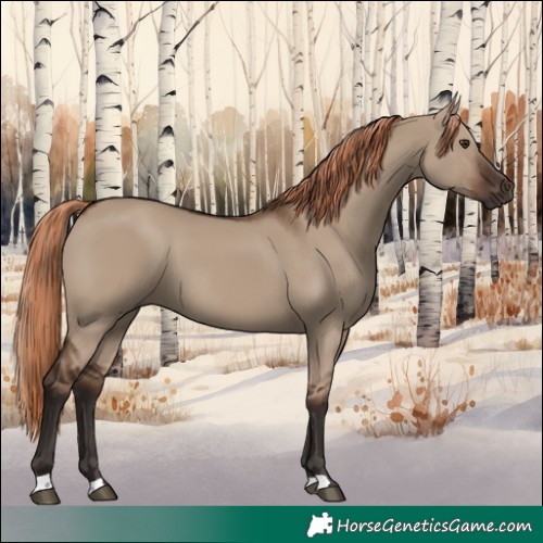 Horse Color:Liver Red Dun 