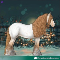 Horse Color:Red Dun Roan Appaloosa  and Red Dun Roan Appaloosa 
