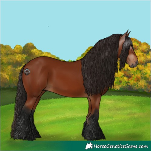 Horse Color:Gray Bay