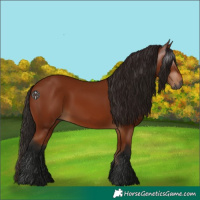 Horse Color:Gray Bay 