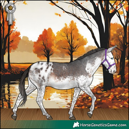 Horse Color:White Spotted Brown Splash Blanket 