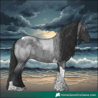 Horse Color:Blue Roan Tobiano 