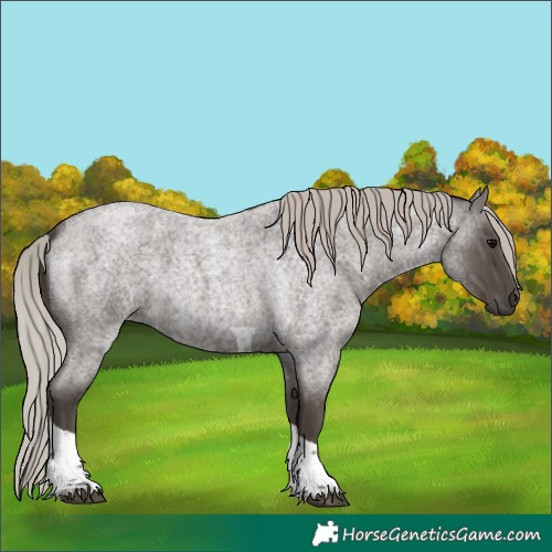 Horse Color:Silver Blue Roan Tobiano 