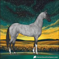 Horse Color:Blue Roan Tobiano 