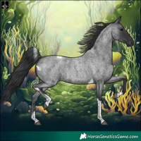 Horse Color:Blue Roan Tobiano 
