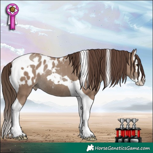 Horse Color:Classic Champagne Splash Tobiano Appaloosa Rabicano