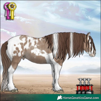 Horse Color:Classic Champagne Splash Tobiano Blanket Rabicano 