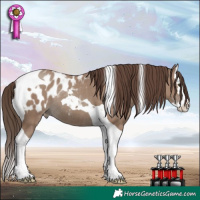 Horse Color:Classic Champagne Splash Tobiano Appaloosa Rabicano 