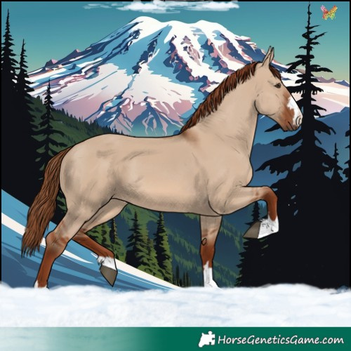 Horse Color:Red Dun 