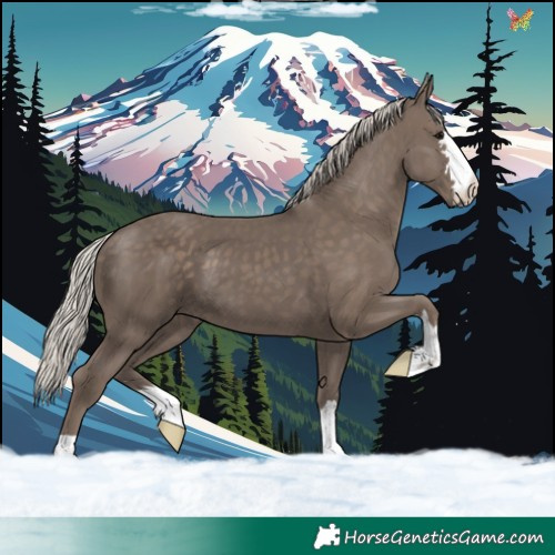 Horse Color:Silver Black 
