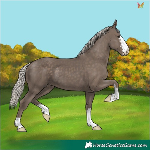 Horse Color:Silver Black