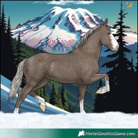 Horse Color:Silver Black 