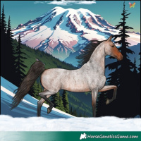 Horse Color:Bay Roan 