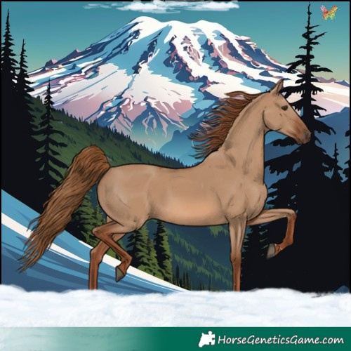 Horse Color:Red Dun