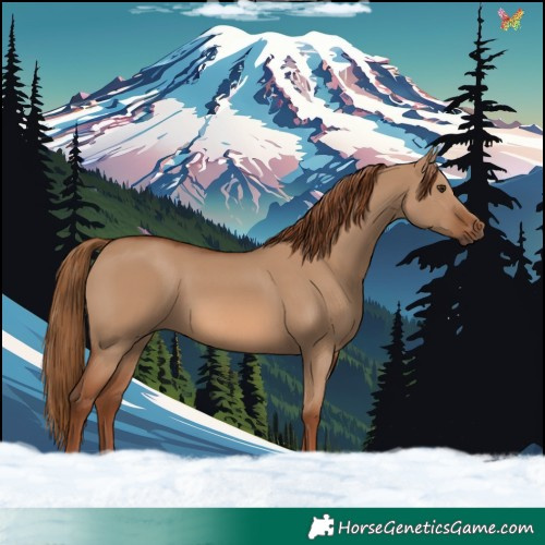 Horse Color:Red Dun 
