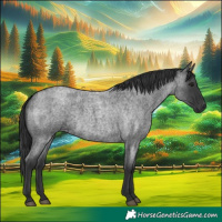 Horse Color:Blue Roan 