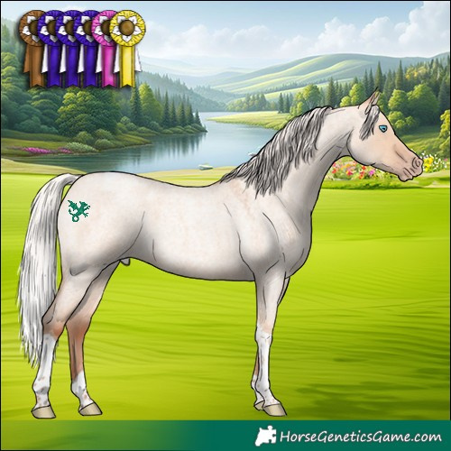 Horse Color:Silver Amber Champagne Roan Dun Tobiano