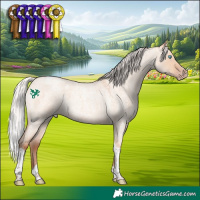 Horse Color:Silver Amber Champagne Roan Dun Tobiano 