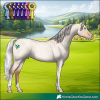 Horse Color:Silver Amber Champagne Roan Dun Tobiano 