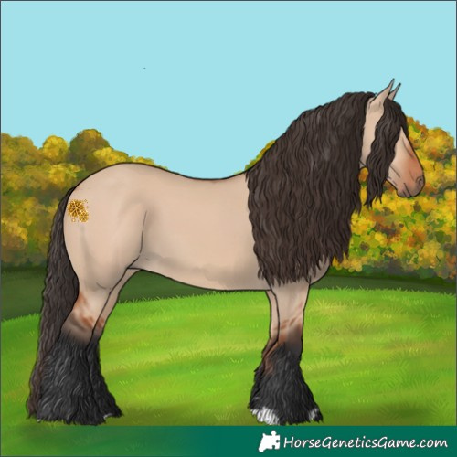 Horse Color:Bay Dun 